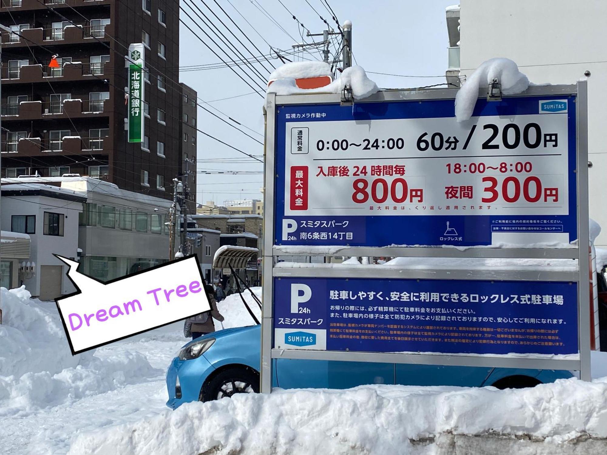 Dream Tree 札幌市电步行0分钟 超市步行1分钟 Экстерьер фото